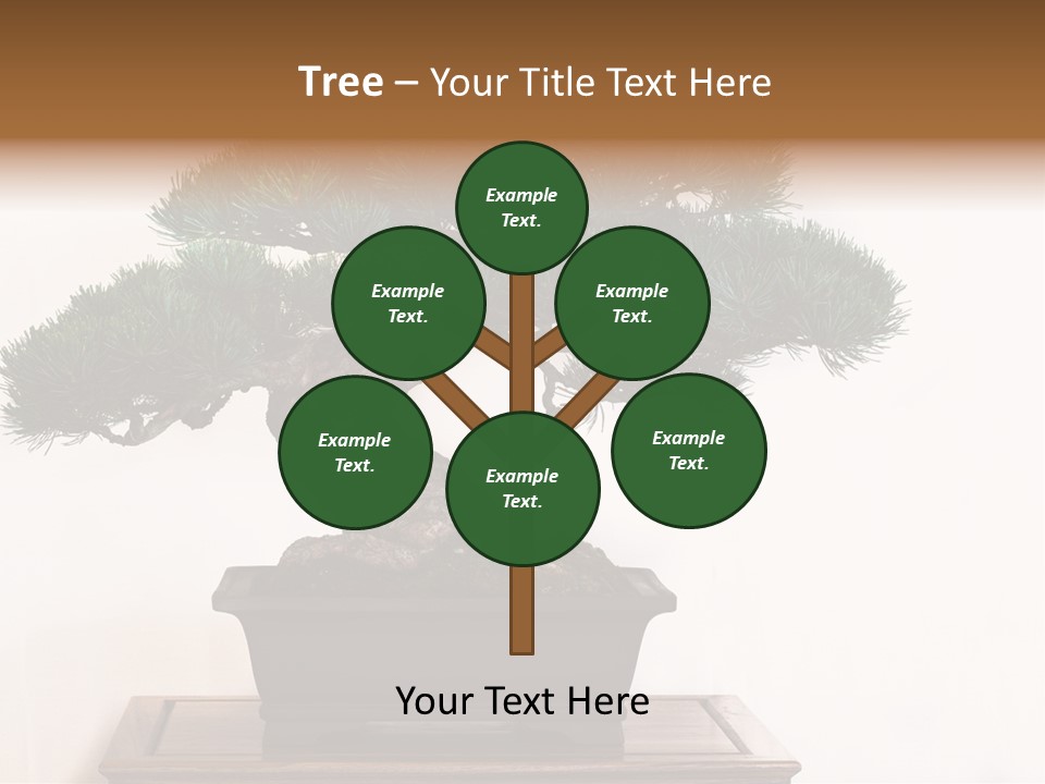 Bonsai Conifer Release PowerPoint Template