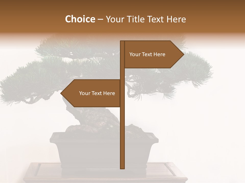 Bonsai Conifer Release PowerPoint Template