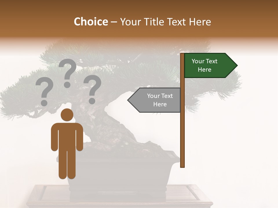 Bonsai Conifer Release PowerPoint Template