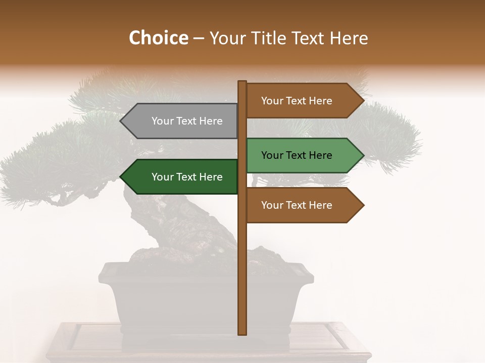 Bonsai Conifer Release PowerPoint Template