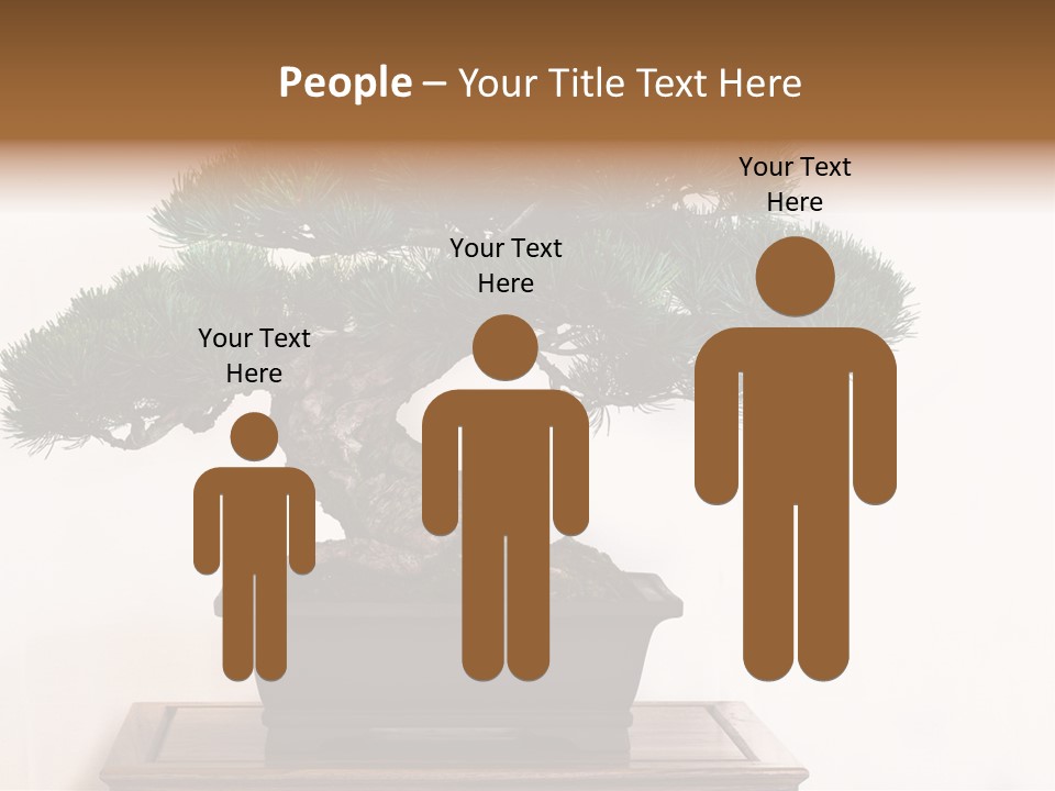 Bonsai Conifer Release PowerPoint Template