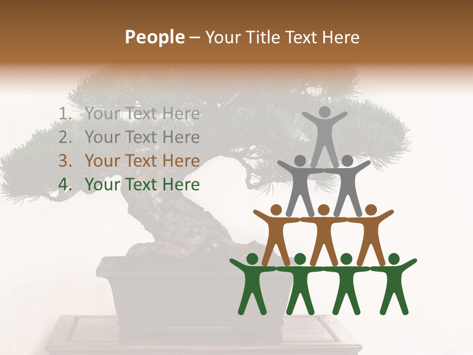 Bonsai Conifer Release PowerPoint Template