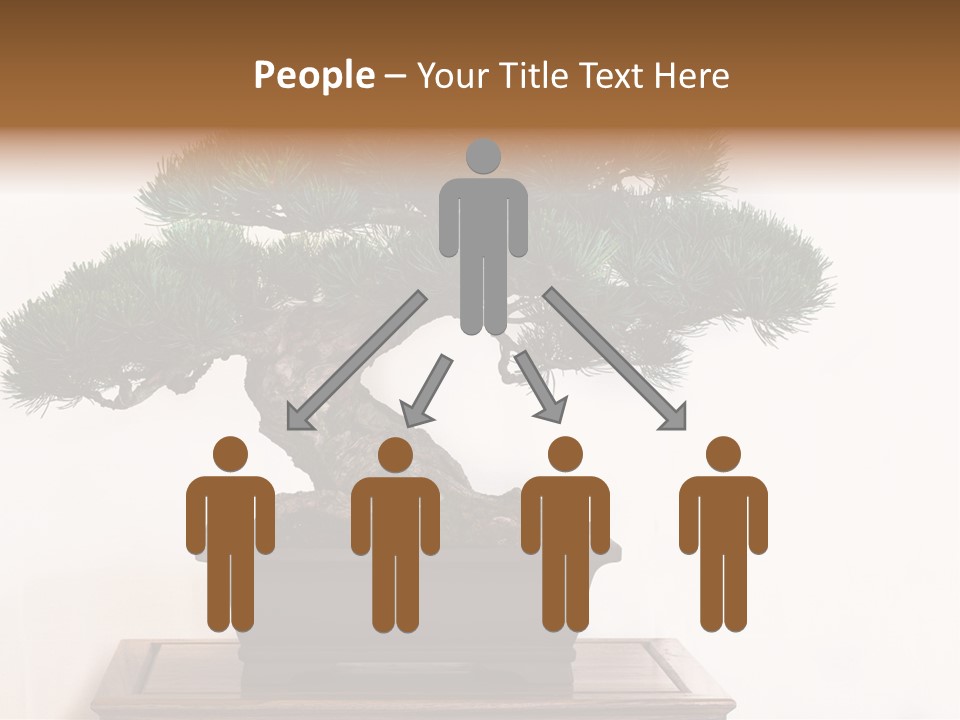 Bonsai Conifer Release PowerPoint Template