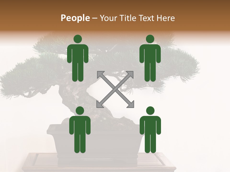 Bonsai Conifer Release PowerPoint Template