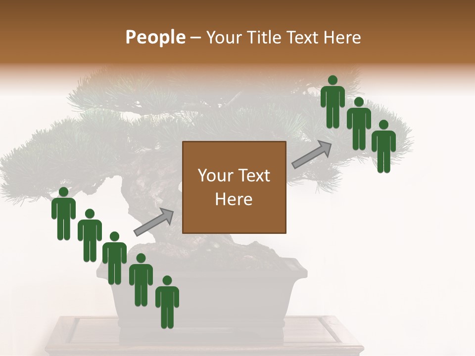 Bonsai Conifer Release PowerPoint Template