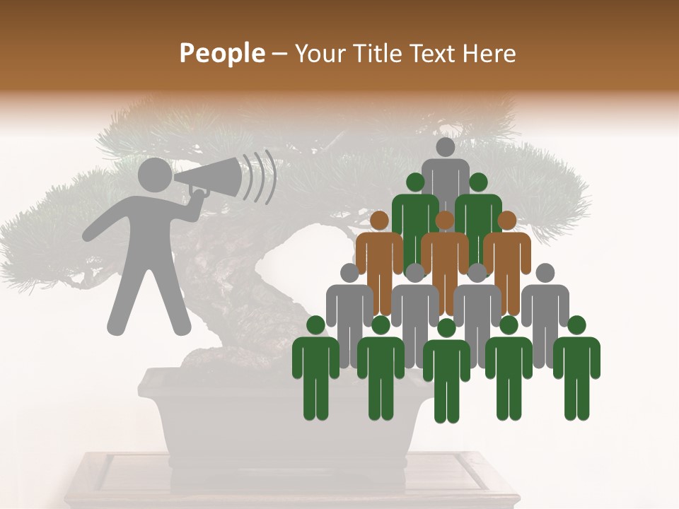 Bonsai Conifer Release PowerPoint Template