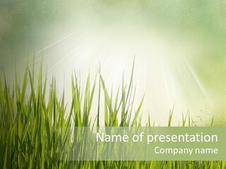 Shine Vintage Sunshine PowerPoint Template