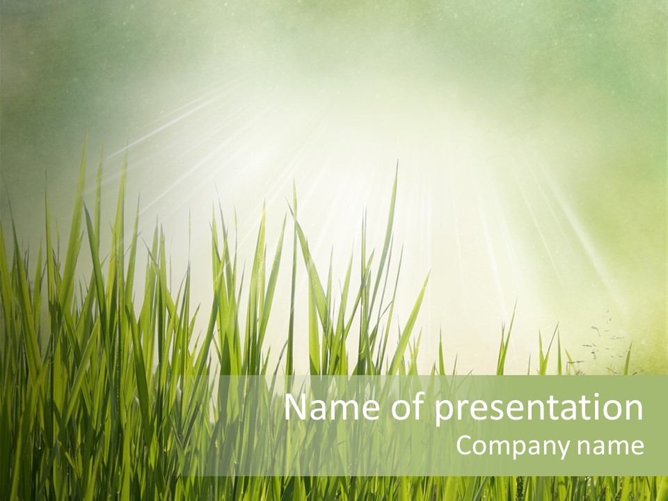 Shine Vintage Sunshine PowerPoint Template