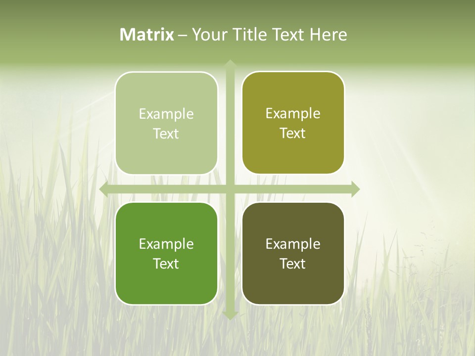 Shine Vintage Sunshine PowerPoint Template