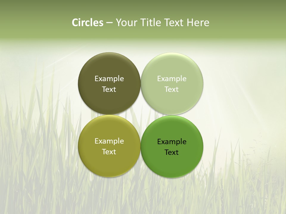 Shine Vintage Sunshine PowerPoint Template