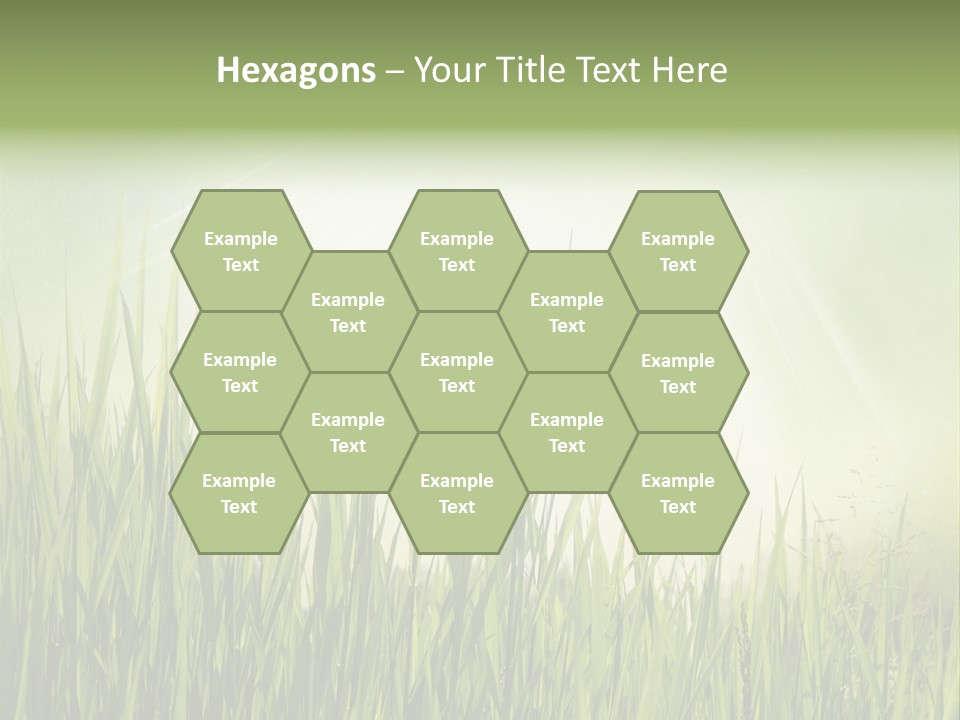 Shine Vintage Sunshine PowerPoint Template