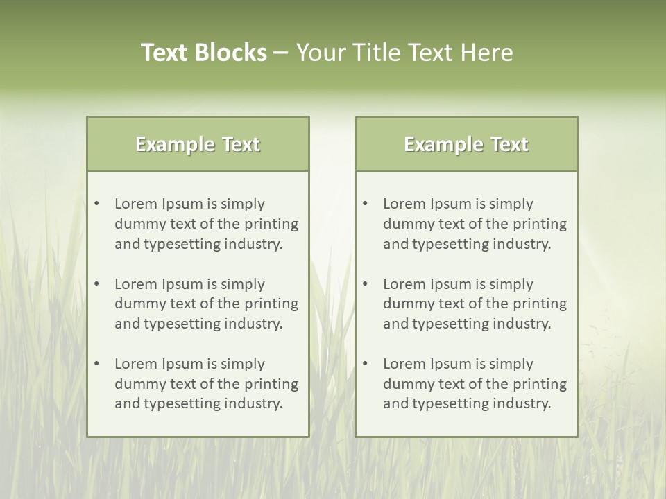 Shine Vintage Sunshine PowerPoint Template