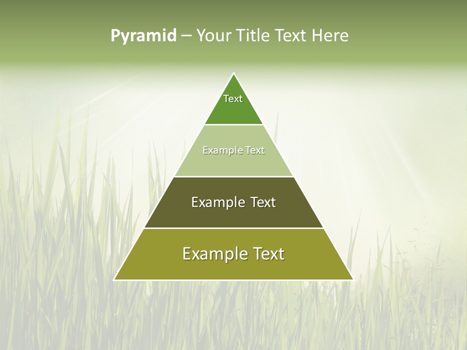 Shine Vintage Sunshine PowerPoint Template