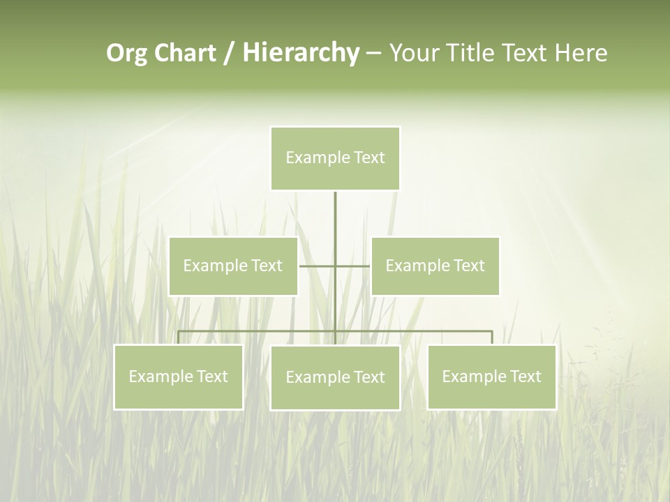 Shine Vintage Sunshine PowerPoint Template