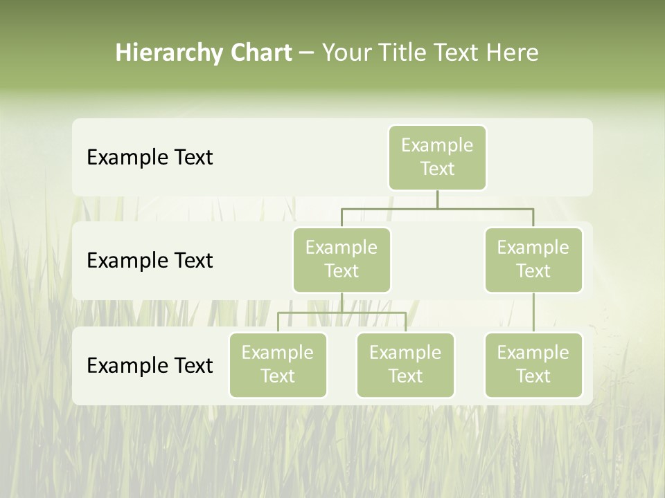 Shine Vintage Sunshine PowerPoint Template