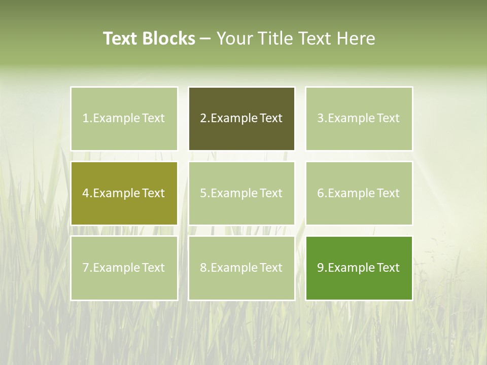 Shine Vintage Sunshine PowerPoint Template