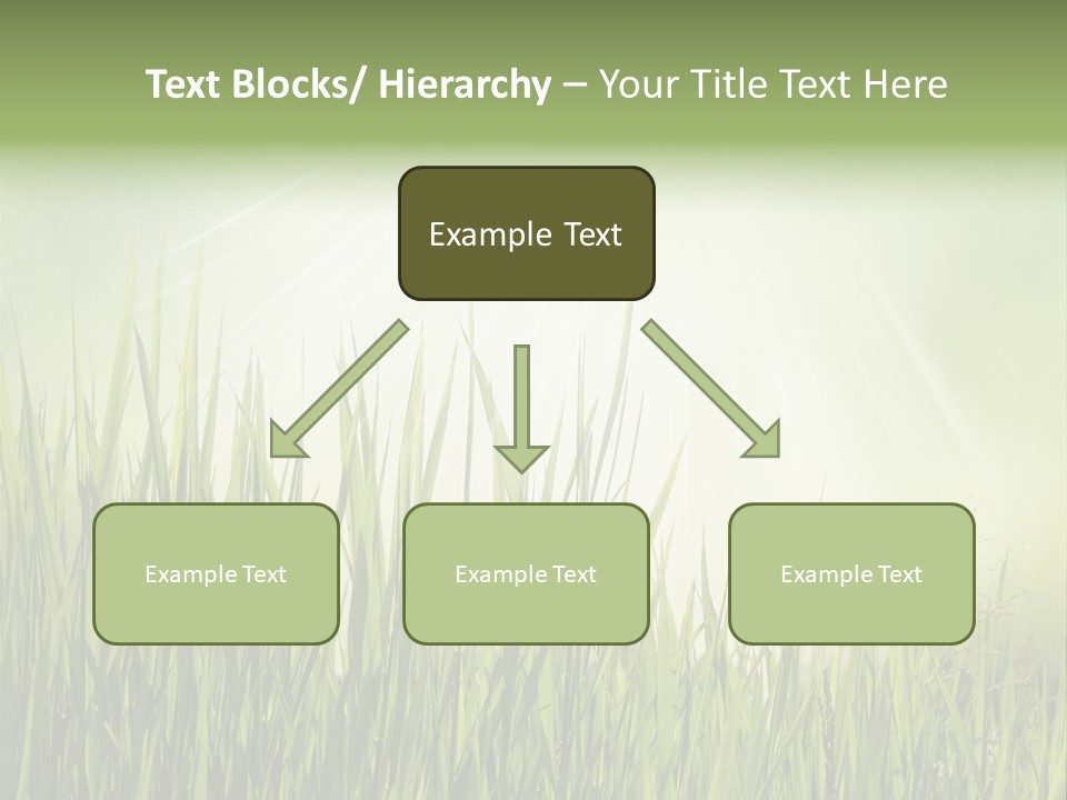 Shine Vintage Sunshine PowerPoint Template