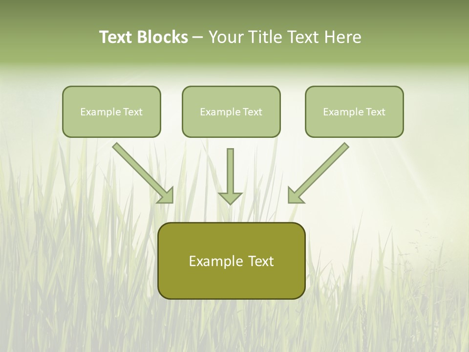 Shine Vintage Sunshine PowerPoint Template