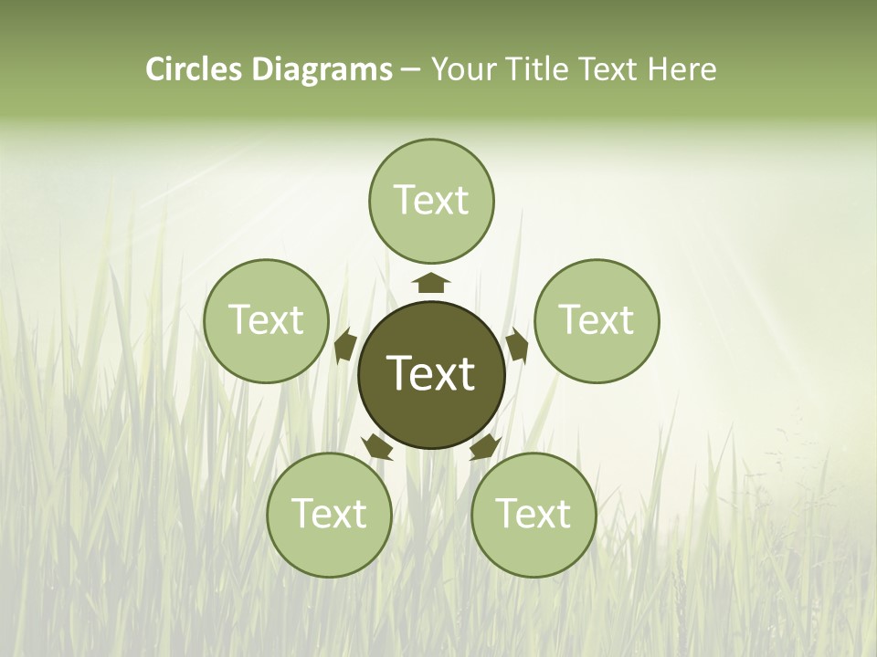 Shine Vintage Sunshine PowerPoint Template