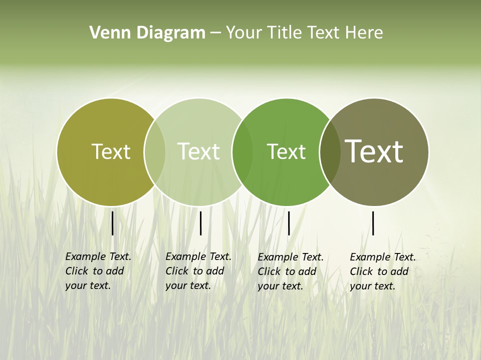 Shine Vintage Sunshine PowerPoint Template