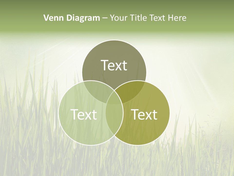 Shine Vintage Sunshine PowerPoint Template