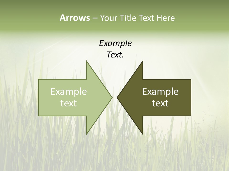 Shine Vintage Sunshine PowerPoint Template