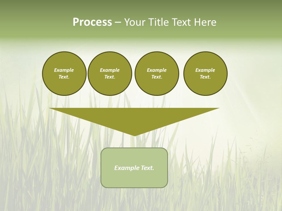 Shine Vintage Sunshine PowerPoint Template