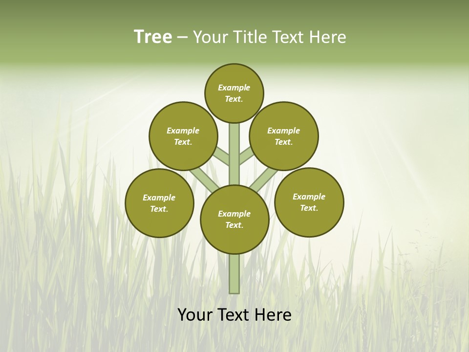 Shine Vintage Sunshine PowerPoint Template