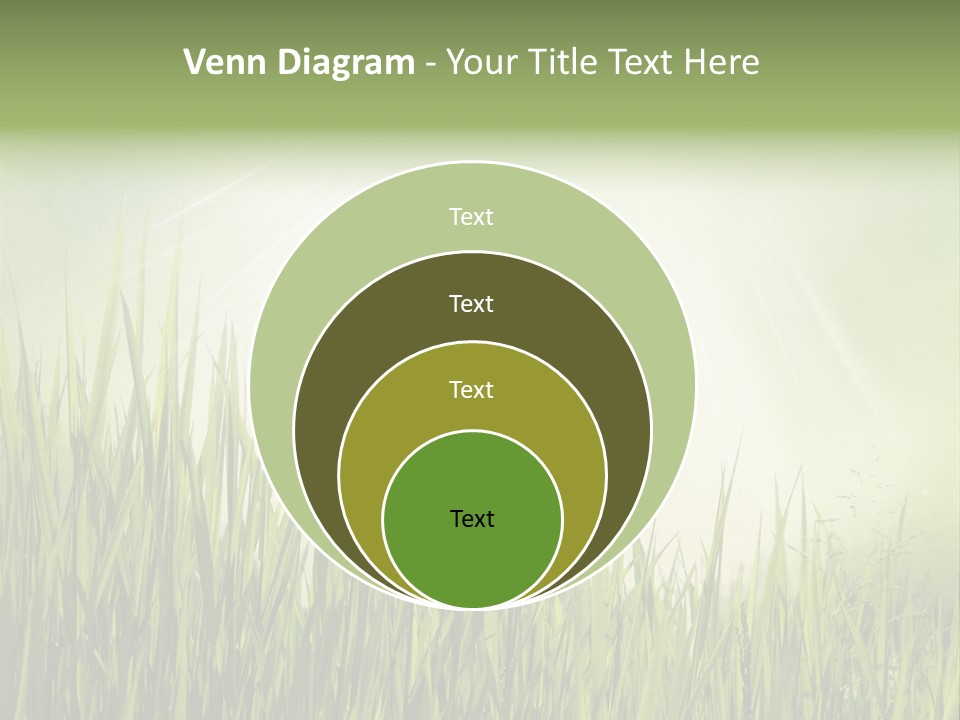 Shine Vintage Sunshine PowerPoint Template