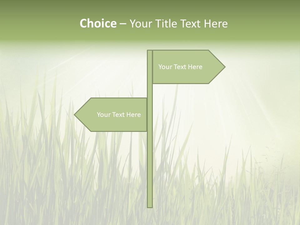 Shine Vintage Sunshine PowerPoint Template