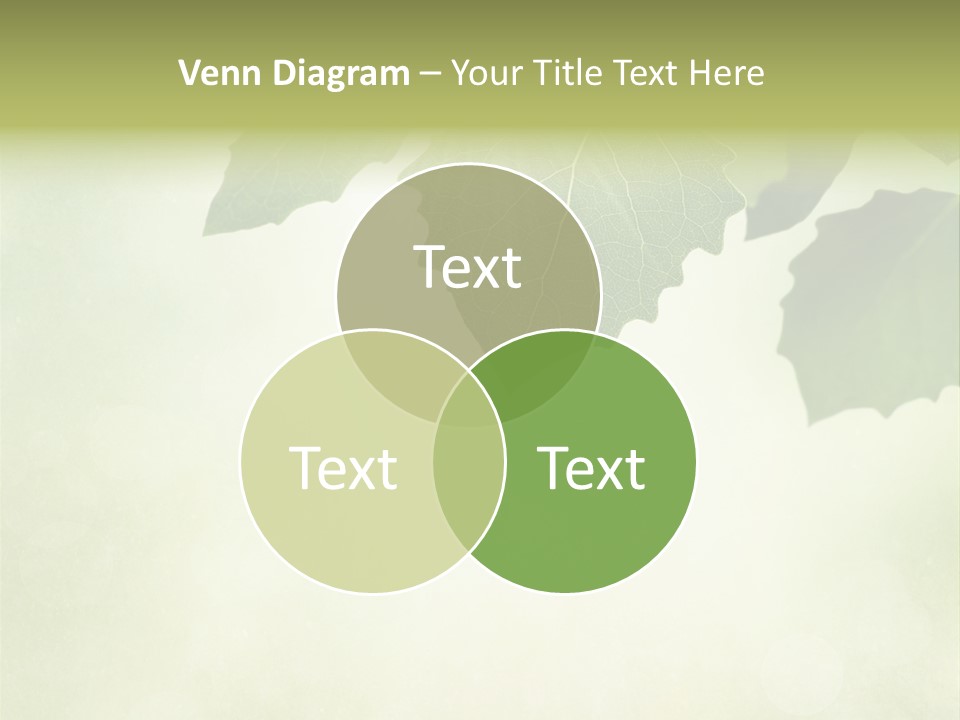 Beautiful Texture Ancient PowerPoint Template