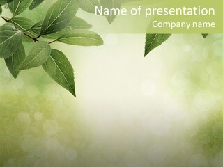 Summer Woods Nature PowerPoint Template