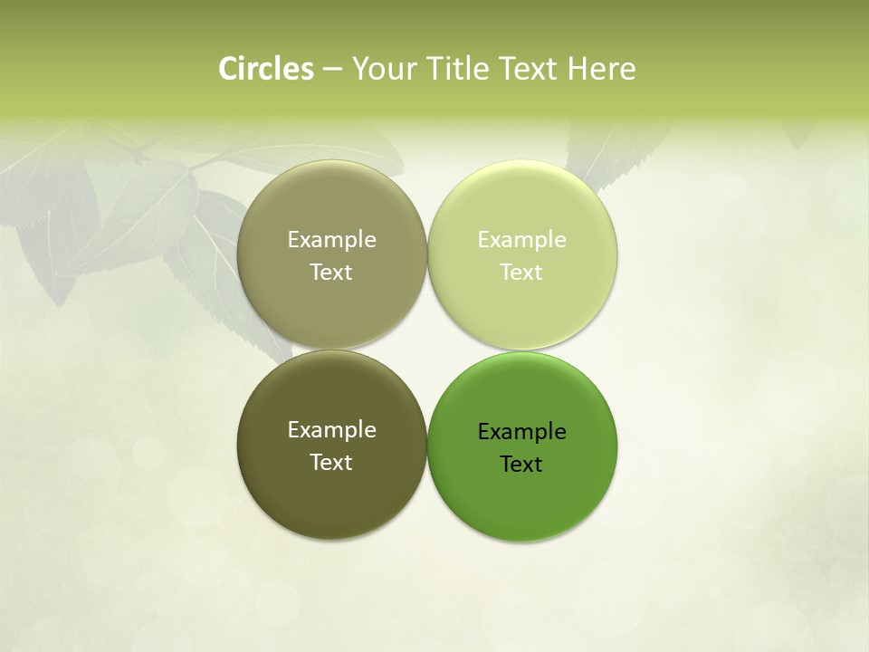 Summer Woods Nature PowerPoint Template