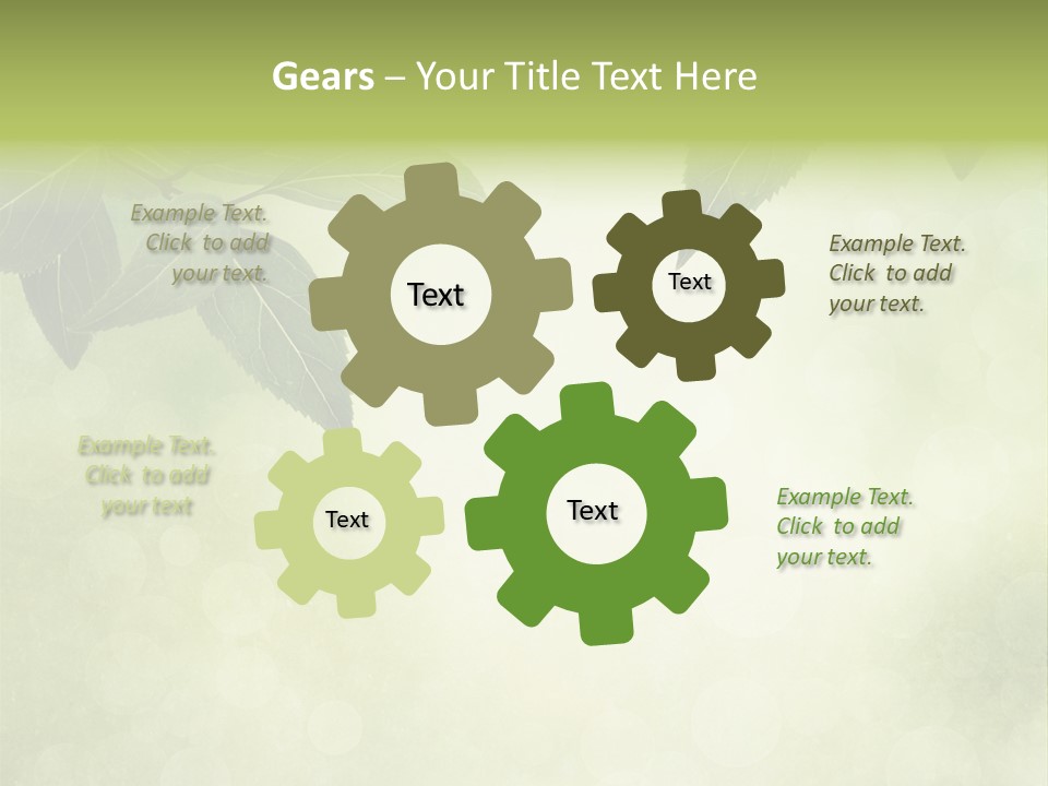 Summer Woods Nature PowerPoint Template