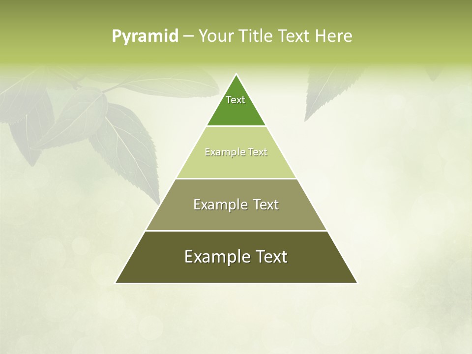 Summer Woods Nature PowerPoint Template