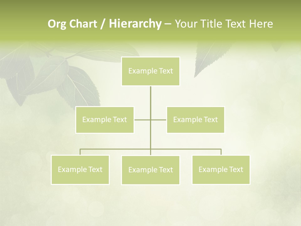 Summer Woods Nature PowerPoint Template
