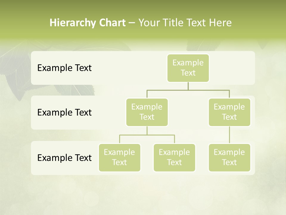 Summer Woods Nature PowerPoint Template