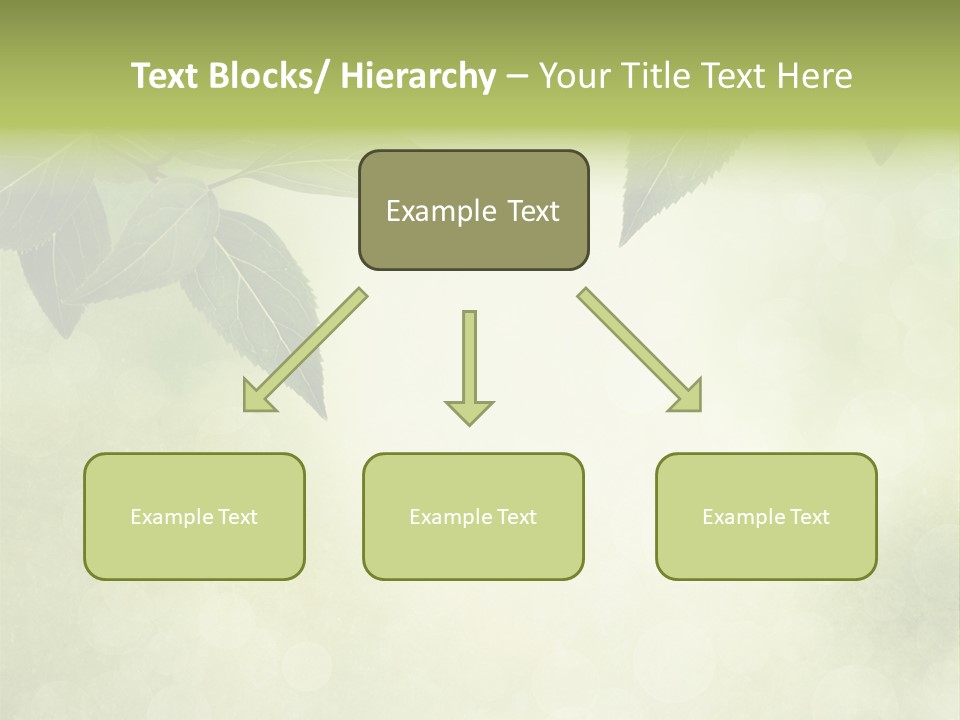 Summer Woods Nature PowerPoint Template