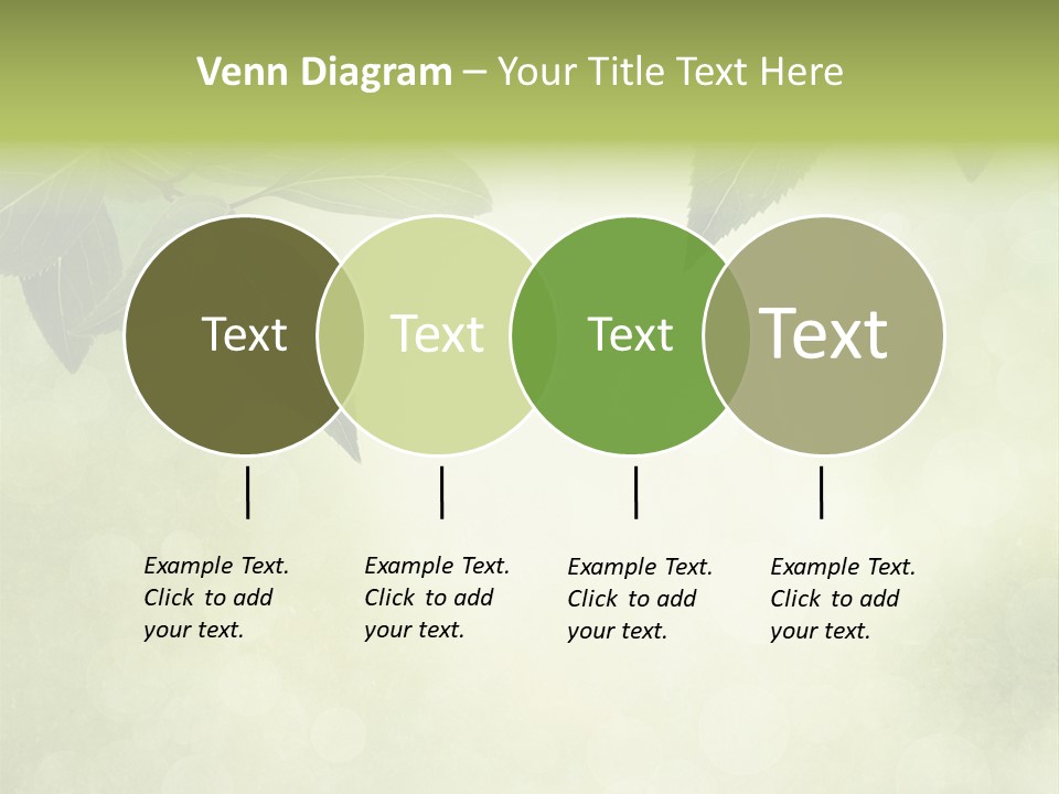 Summer Woods Nature PowerPoint Template