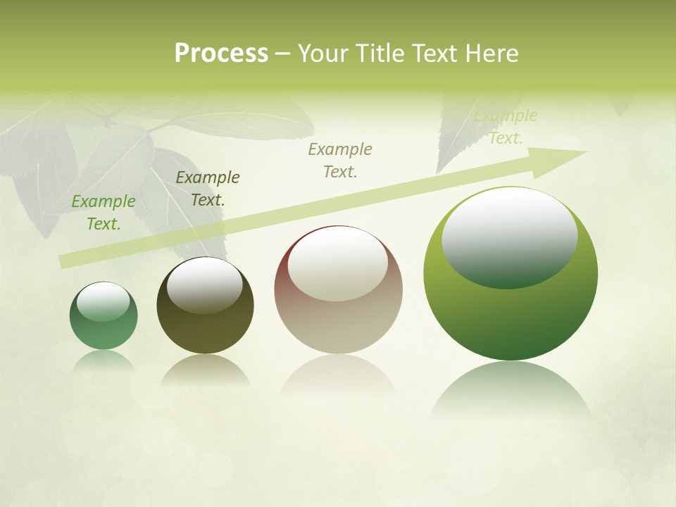 Summer Woods Nature PowerPoint Template