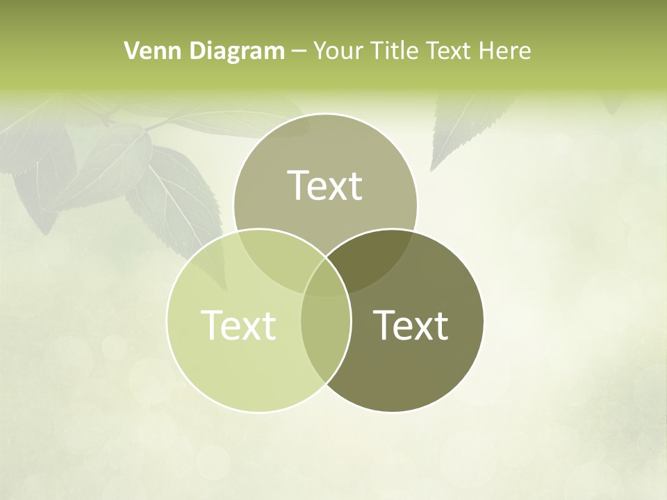 Summer Woods Nature PowerPoint Template