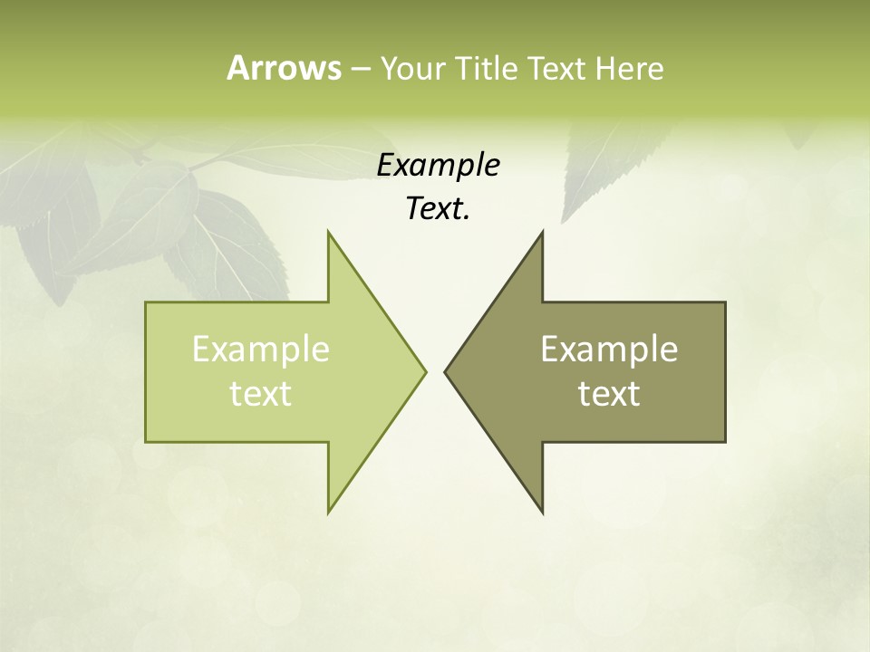 Summer Woods Nature PowerPoint Template