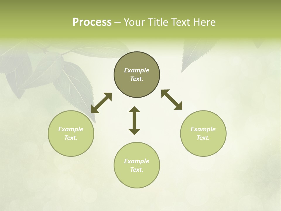 Summer Woods Nature PowerPoint Template