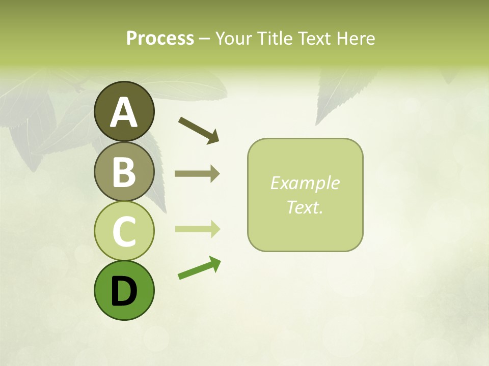 Summer Woods Nature PowerPoint Template