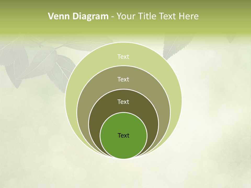 Summer Woods Nature PowerPoint Template