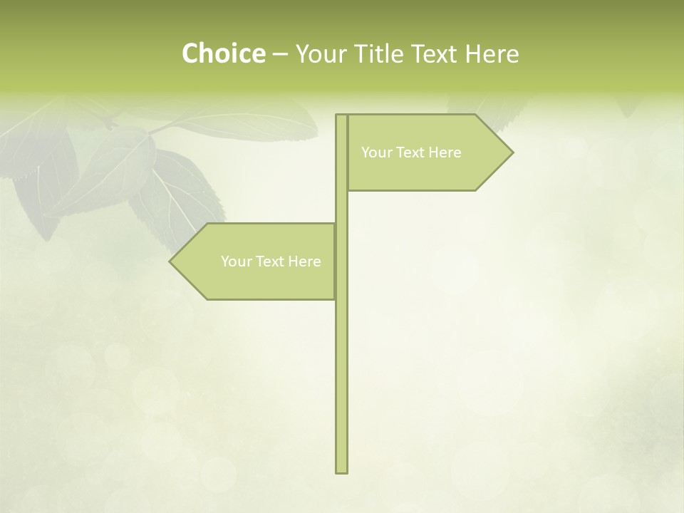 Summer Woods Nature PowerPoint Template