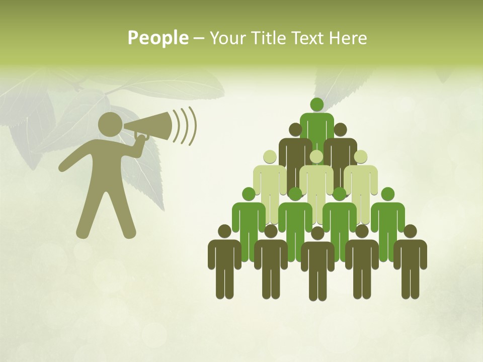 Summer Woods Nature PowerPoint Template