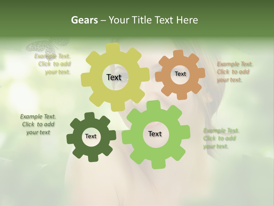 Pinus Freigestellt Nebari PowerPoint Template