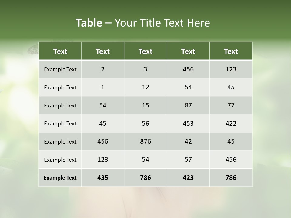 Pinus Freigestellt Nebari PowerPoint Template