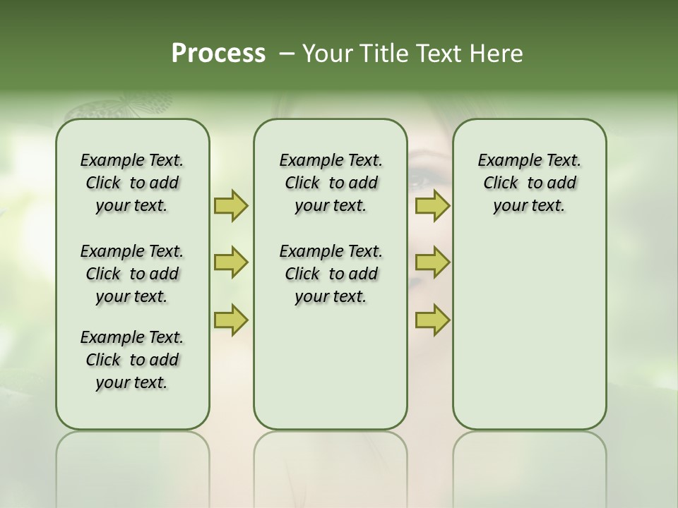 Pinus Freigestellt Nebari PowerPoint Template